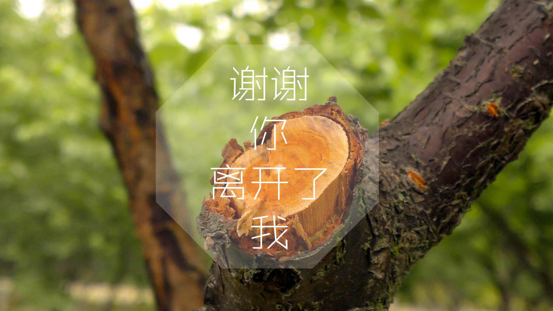 开云网页版-《炉石传说》选手：卡牌游戏的策略思考与心理素质，炉石传说卡牌选择