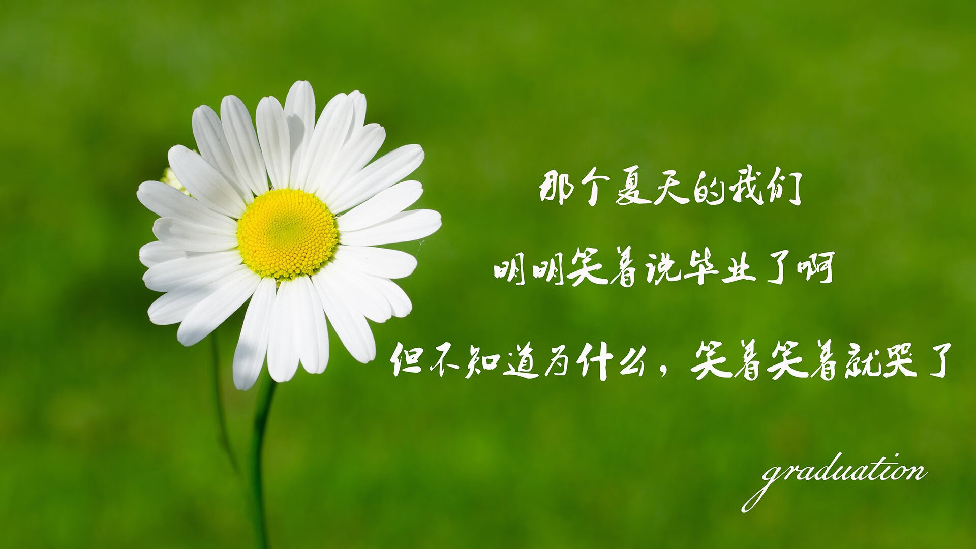 KAIYUN 中国大陆-以足球小镇为载体，推动乡村振兴战略，足球小镇的特色美食