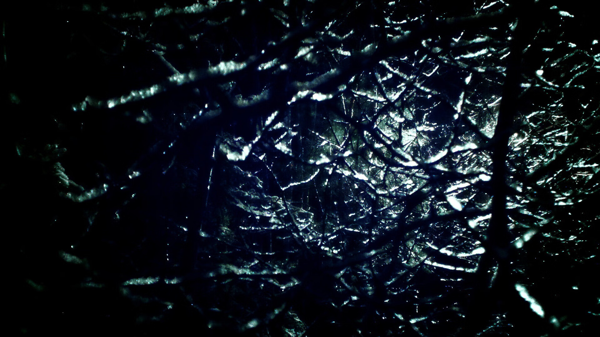 开云入口-埃弗顿年轻阵容活力十足，古迪逊公园求稳定，埃弗顿31岁球员