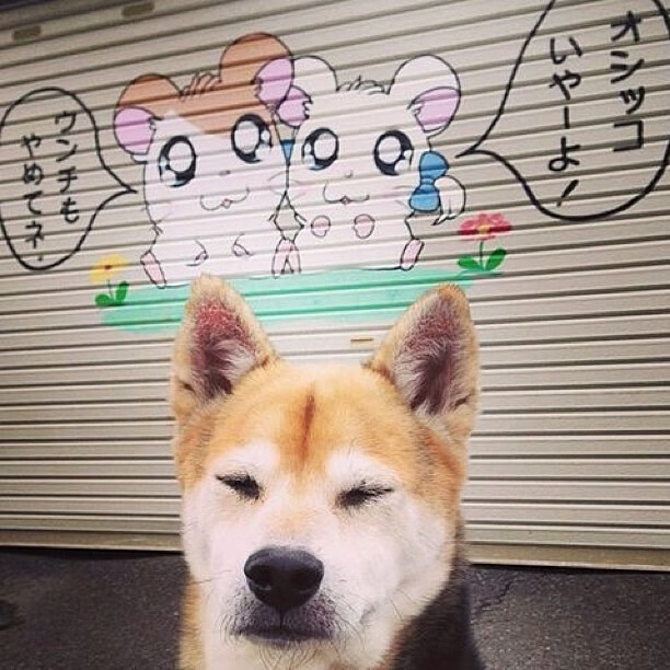 Kaiyun APP-是否应鼓励退役球员参与裁判培训，足球运动员退役当裁判