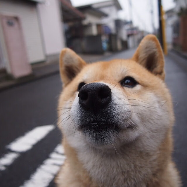 kaiyun.com-波鸿申请进入欧罗巴联赛，受到关注，波鸿申请进入欧罗巴联赛,受到关注了吗