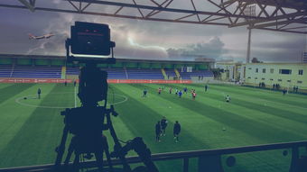 开云体育在线赛事直播-校园体育场馆智能管理系统设计与实现,学校体育场馆运营管理方案