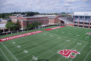 开云·体育官网APP下载-篮球专项体能训练监测技术及应用实践，篮球项目的体能训练方法