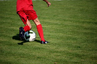 开云中国-篮球专项技能训练规范体系建设,篮球专项能力