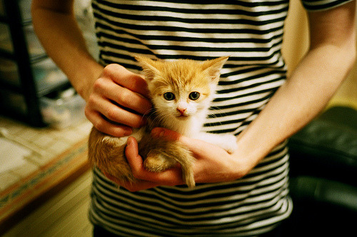 开云kaiyun-中国足球青训课程加强守门员核心能力培养,青少年足球守门员训练