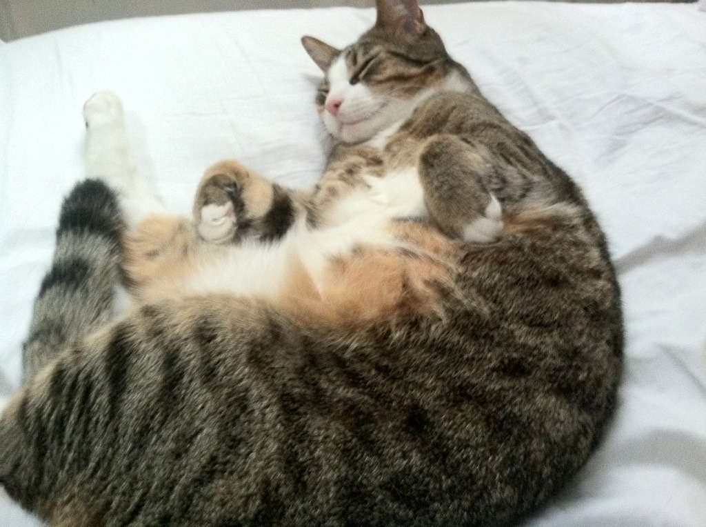 开云网页版登录入口-中立代表队B表现出色引发媒体关注